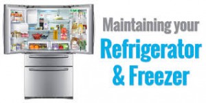FREEZ